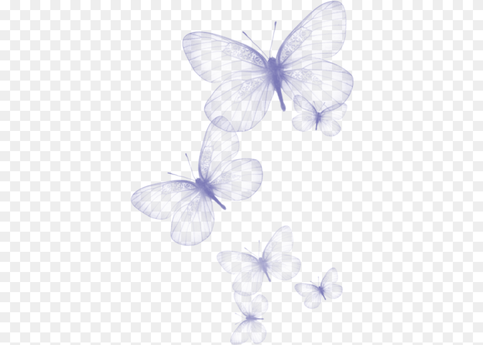 Purple Butterfly Clipart Transparent Background Butterfly Clipart, Plant, Anther, Petal, Flower Free Png