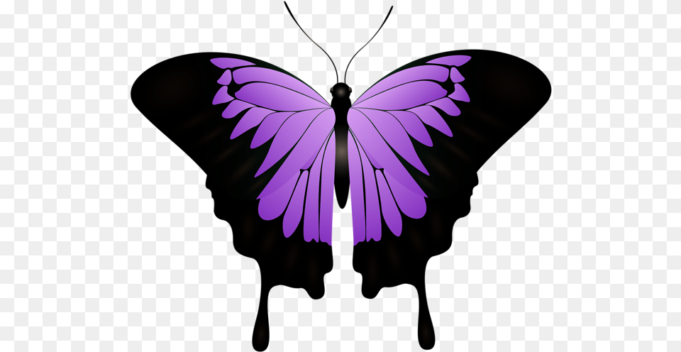 Purple Butterfly Decorative Transparent Purple And Black Monarch Butterfly, Chandelier, Lamp, Animal, Insect Png Image