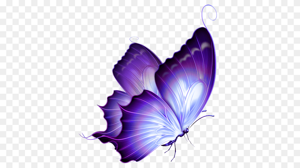 Purple Butterfly File Background Butterfly, Graphics, Art, Pattern, Accessories Free Png Download