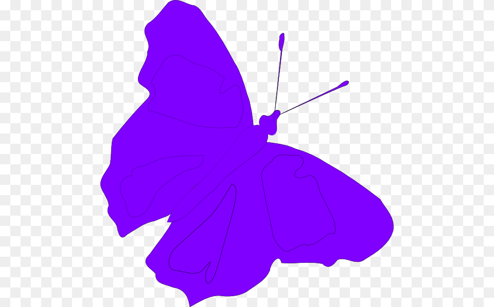 Purple Butterfly Hi, Leaf, Plant, Animal, Insect Free Transparent Png