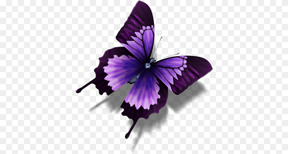 Purple Butterfly Image Purple Butterfly Transparent Background, Chandelier, Lamp, Flower, Plant Free Png