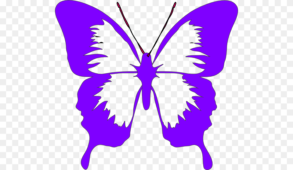 Purple Butterfly Wings Clip Art, Flower, Plant, Stencil, Baby Free Png