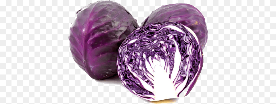 Purple Cabbage Transparent Image Purple Cabbage, Food, Leafy Green Vegetable, Plant, Produce Free Png Download