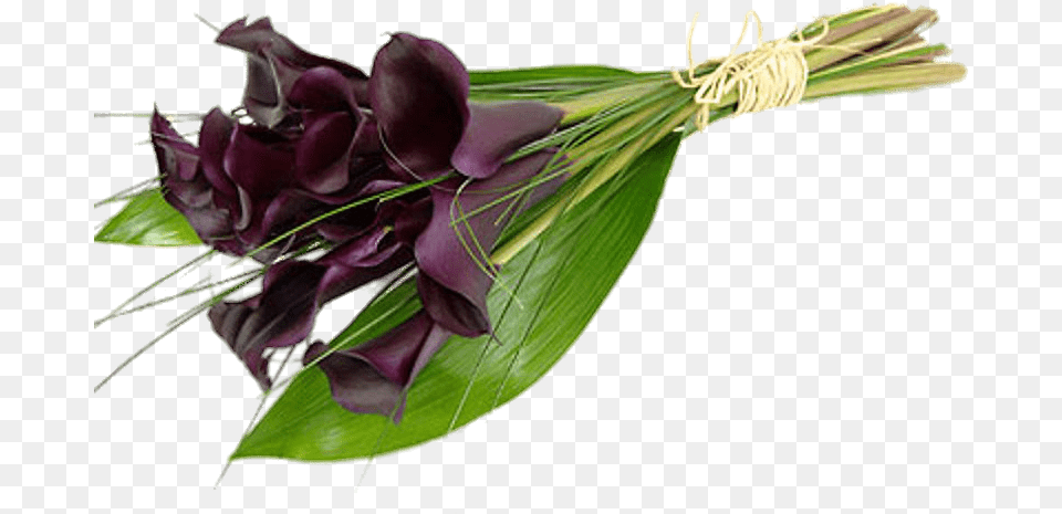 Purple Calla Lilies Transparent Calla Bouquet, Flower, Flower Arrangement, Flower Bouquet, Plant Free Png