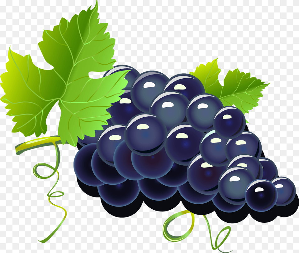 Purple Cartoon Grapes Grapes Cartoon, Food, Fruit, Plant, Produce Free Png Download