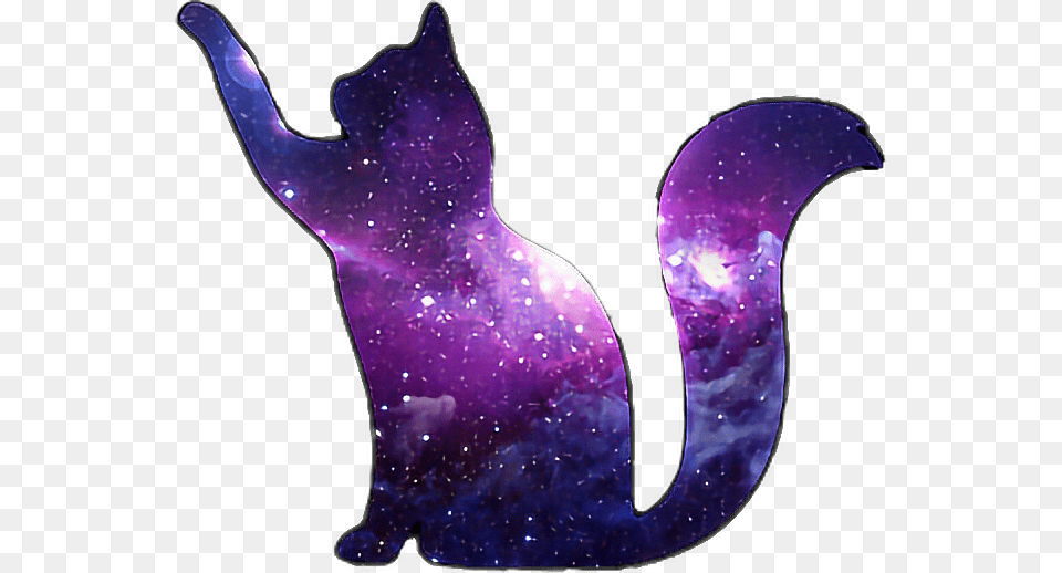 Purple Cat Scpurple Galaxy Cat Galaxycat Blue Freetoedi Purple Galaxy Cat, Nature, Night, Outdoors, Accessories Png Image