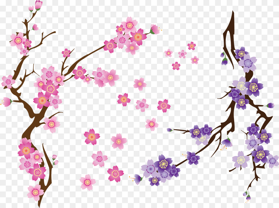 Purple Cherry Blossom Vector, Flower, Plant, Petal, Cherry Blossom Free Transparent Png