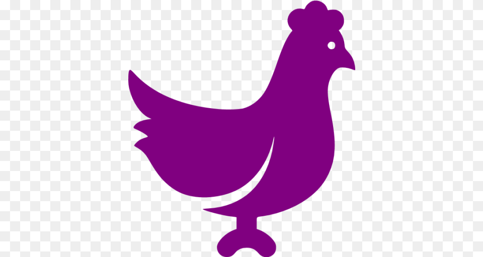 Purple Chicken Icon Purple Animal Icons Chicken Graphic, Bird, Pigeon, Dove Free Png