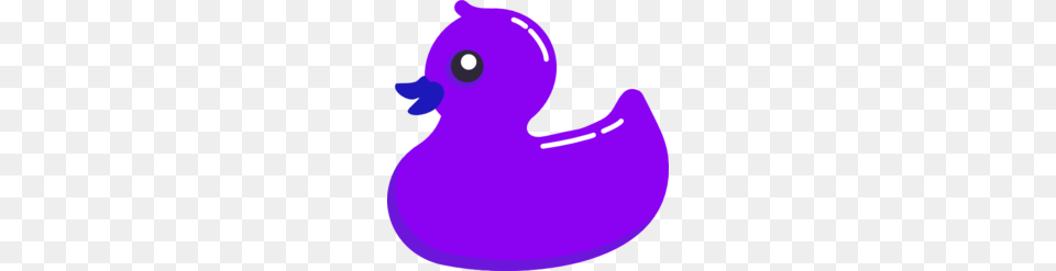 Purple Clipart Duck, Animal, Bird, Beak Png Image