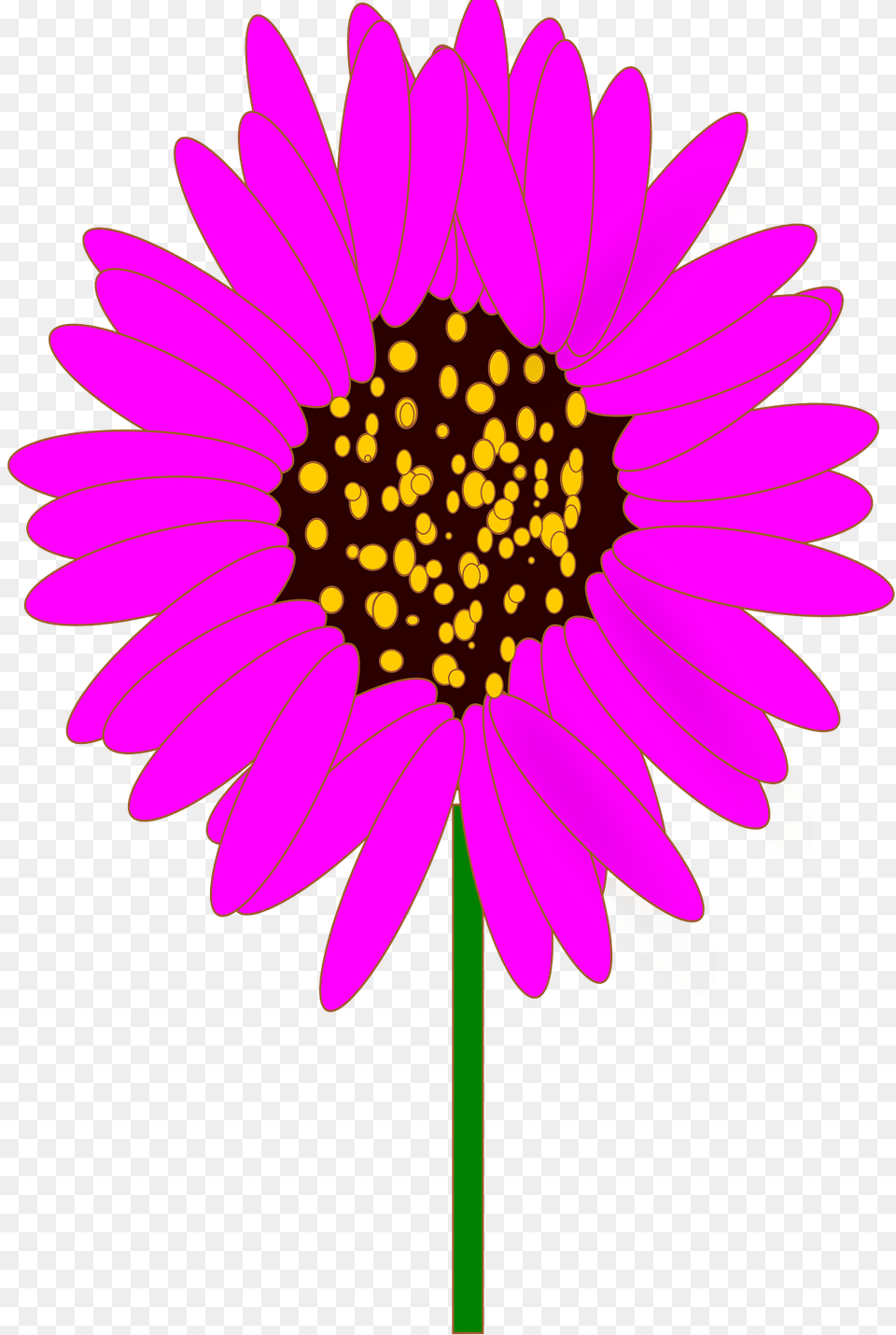 Purple Cone Flower Clipart, Anther, Dahlia, Daisy, Petal Free Transparent Png