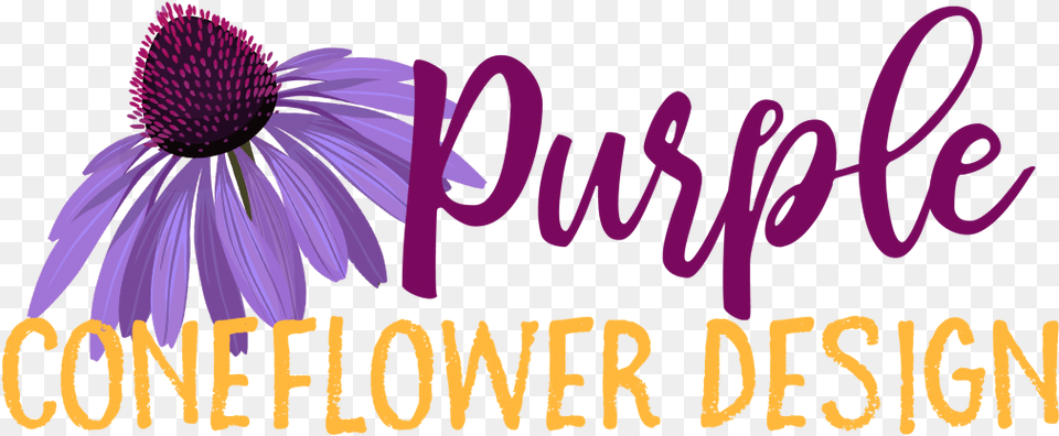 Purple Coneflower Design Calligraphy, Anther, Daisy, Flower, Petal Png Image