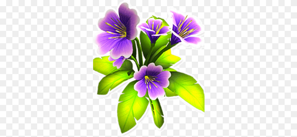 Purple Cosmos Garden Paws Wiki Fandom Portable Network Graphics, Flower, Geranium, Plant, Petal Free Png