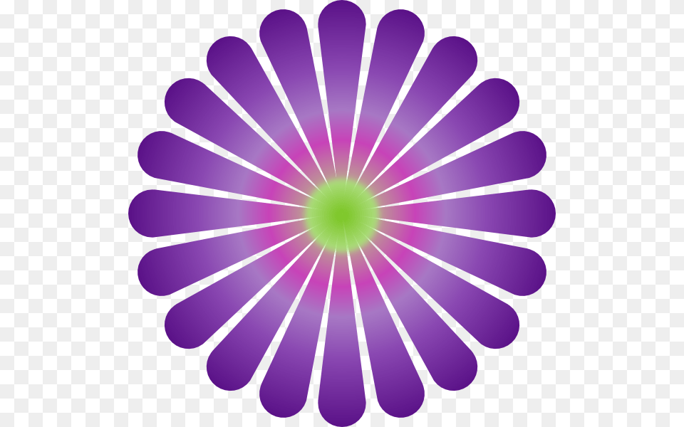 Purple Daisy Large Size, Plant, Flower, Pattern, Light Free Png