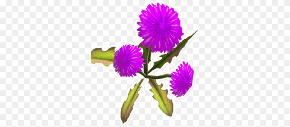 Purple Dandelion Portable Network Graphics, Flower, Petal, Plant Png Image