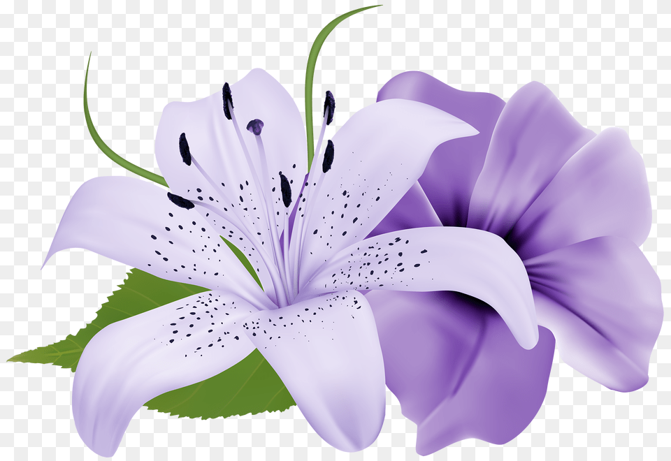 Purple Deco Flowers Clipart Flower Painting Light Purple Flower, Anther, Plant, Petal, Lily Png