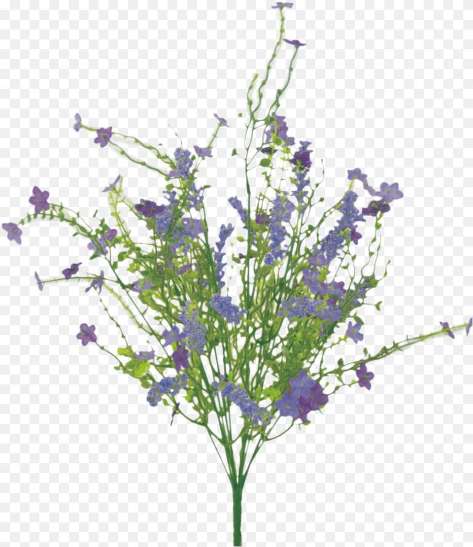 Purple Filler Bush Bouquet, Flower, Plant, Herbal, Herbs Png Image