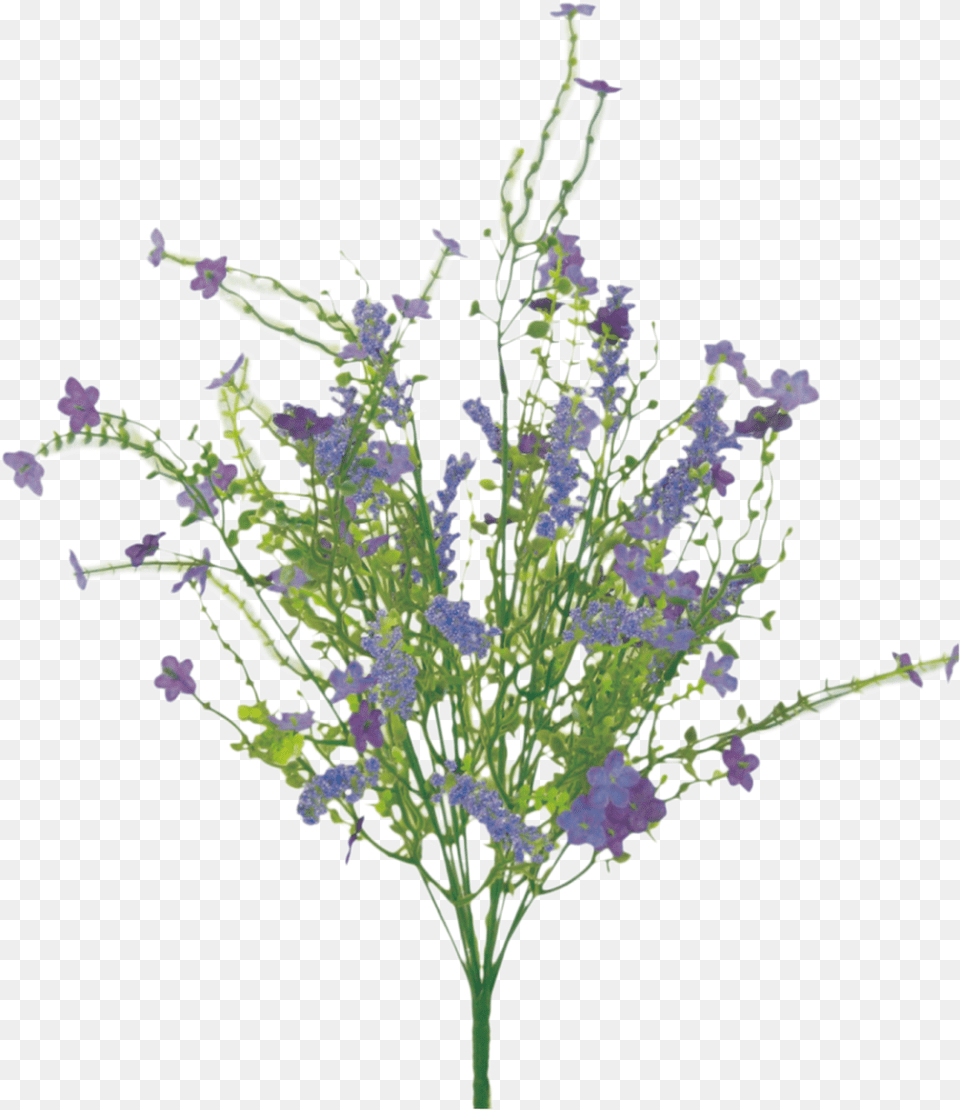 Purple Filler Bush Bouquet, Flower, Lavender, Plant, Pattern Png