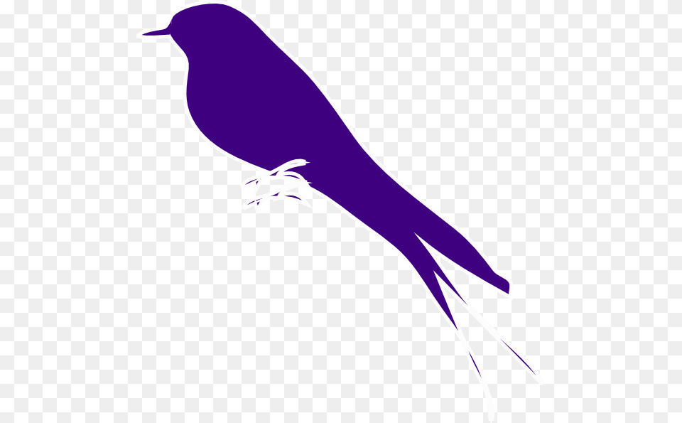 Purple Finch On A Branch Clip Art, Animal, Bird, Blackbird, Swallow Free Transparent Png