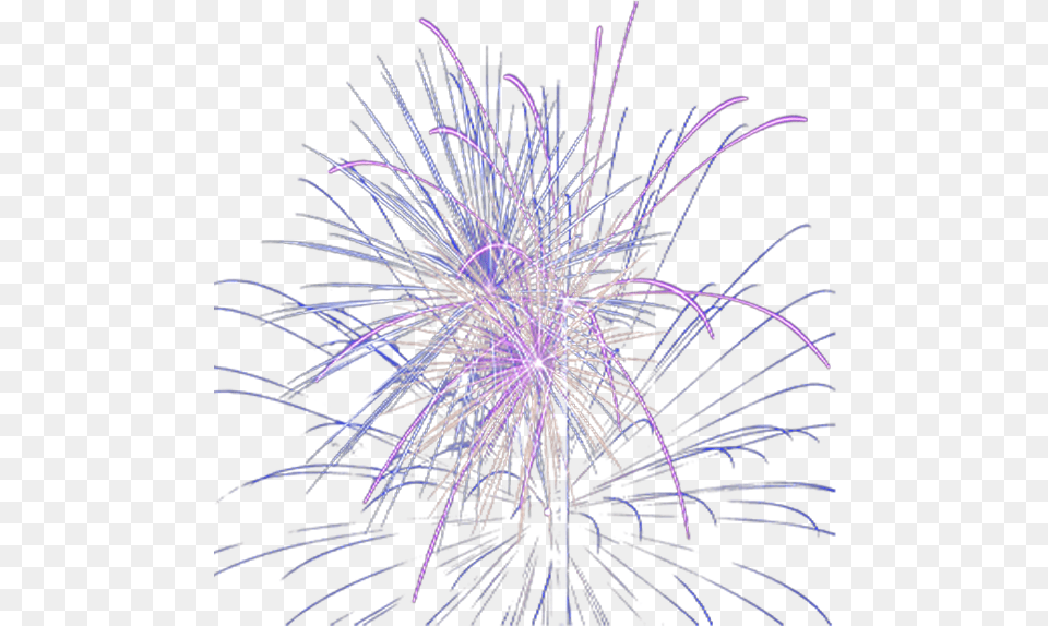Purple Firework Overlay Marine Invertebrates, Fireworks, Machine, Wheel, Nature Png