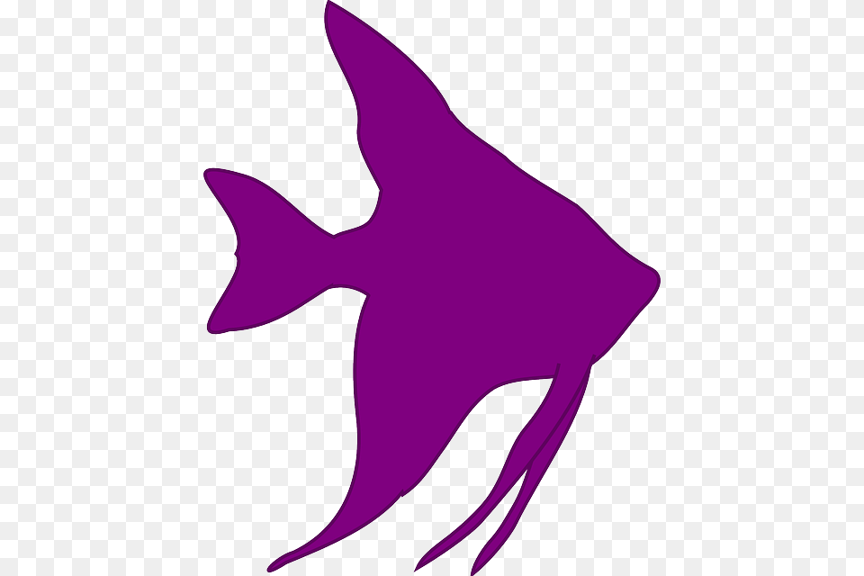 Purple Fish Silhouette, Angelfish, Animal, Sea Life, Shark Png