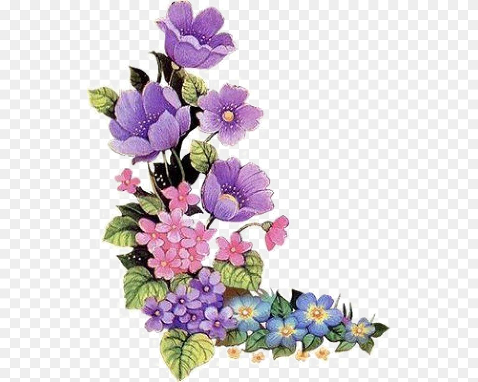 Purple Floral Border Image Arts, Anemone, Pattern, Plant, Flower Free Transparent Png