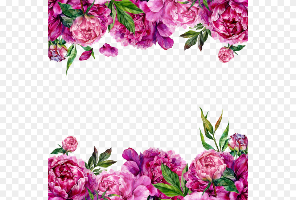 Purple Floral Border Image Floral Border Pink Purple, Art, Plant, Pattern, Graphics Png