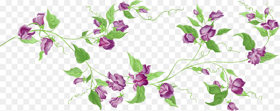 Purple Floral Decor Transparent Clipart Transparent Flower Vine Clipart, Art, Floral Design, Graphics, Pattern Png