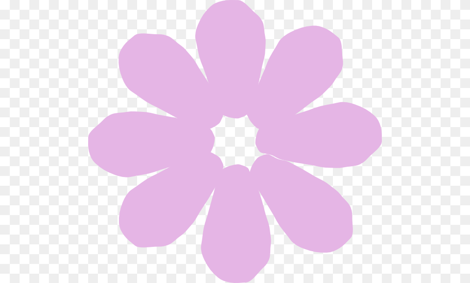 Purple Flower, Anemone, Daisy, Plant, Petal Free Transparent Png