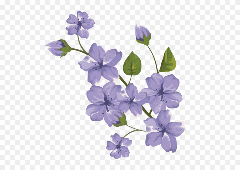 Purple Flower, Geranium, Plant, Chandelier, Lamp Free Transparent Png