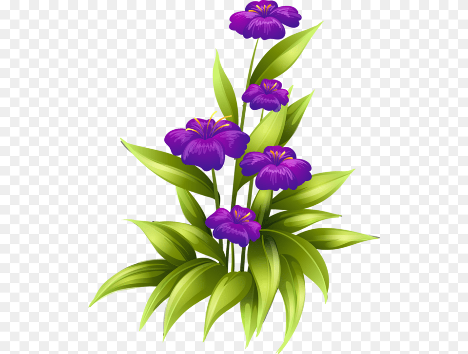 Purple Flower Border Birth Day Wishes, Iris, Plant, Petal Png Image