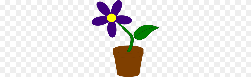 Purple Flower Clip Art, Plant, Daisy, Petal, Smoke Pipe Free Png Download