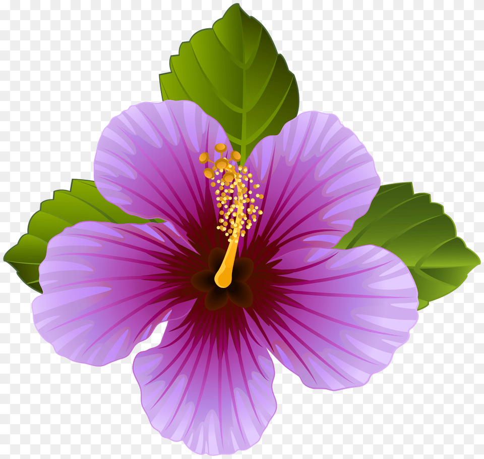 Purple Flower Clip Art Image Imagens Flower Clipart Free Png