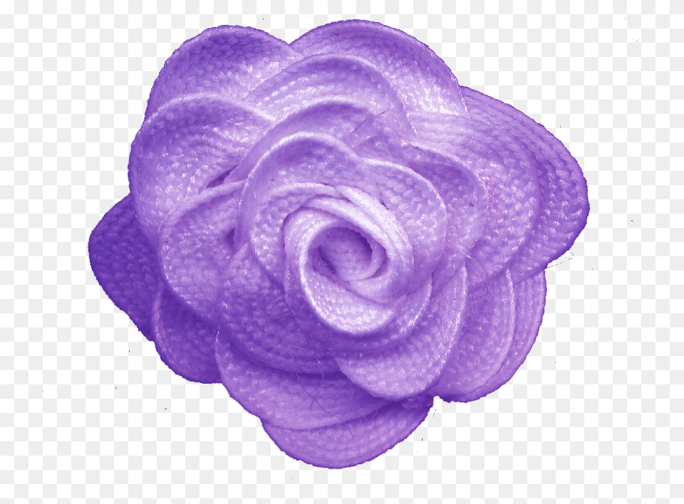 Purple Flower Clip Art Portable Network Graphics, Plant, Rose, Accessories Free Png