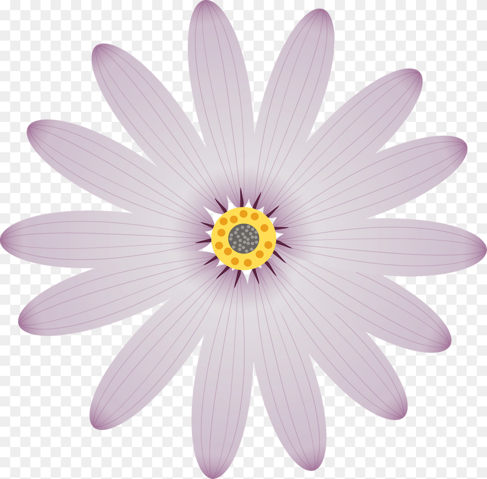Purple Flower Clipart, Anther, Daisy, Plant, Petal Png Image