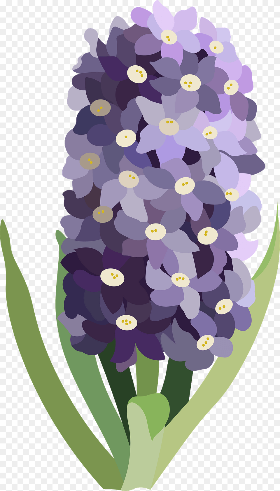 Purple Flower Clipart, Plant, Flower Arrangement, Flower Bouquet, Lavender Png