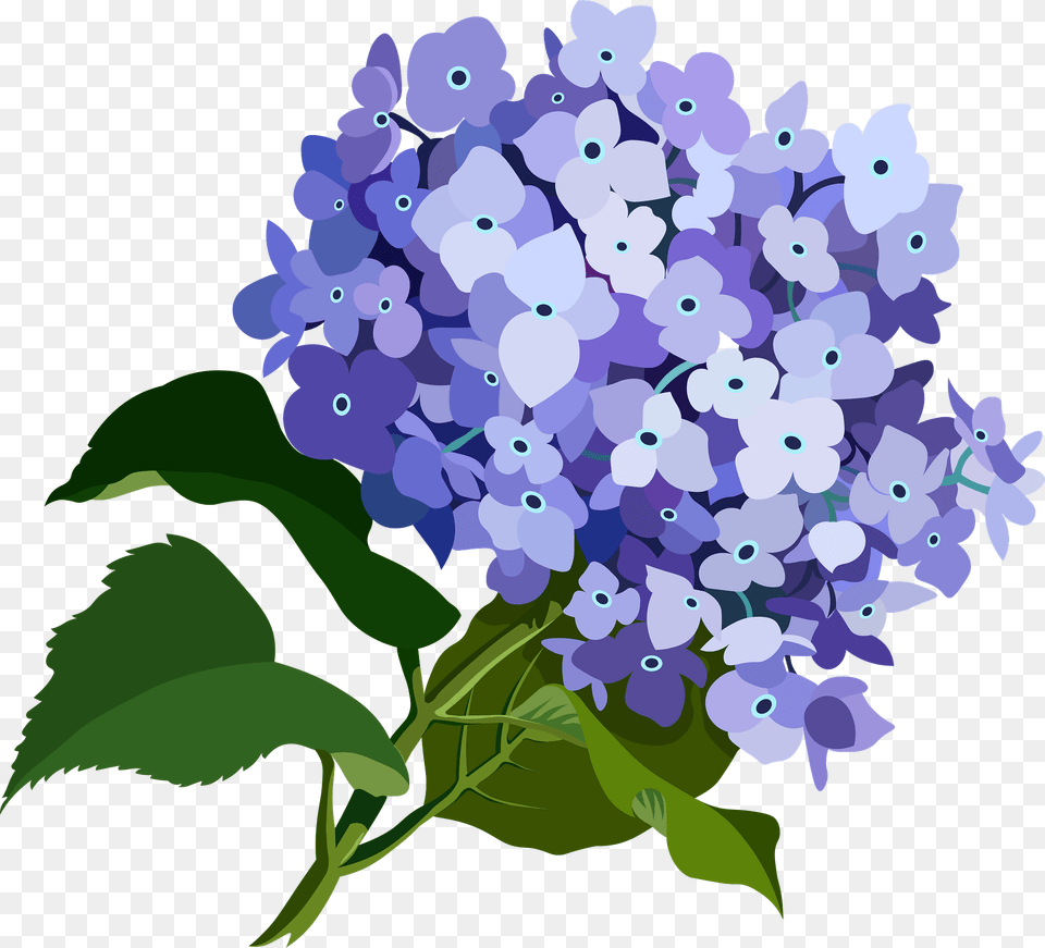 Purple Flower Clipart, Plant, Lilac Png Image