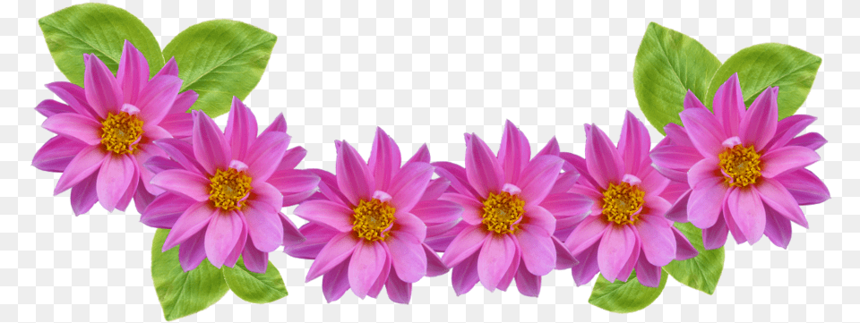 Purple Flower Clipart Animated Free Clip Art Stock Flower Crown Clipart, Anther, Dahlia, Daisy, Petal Png