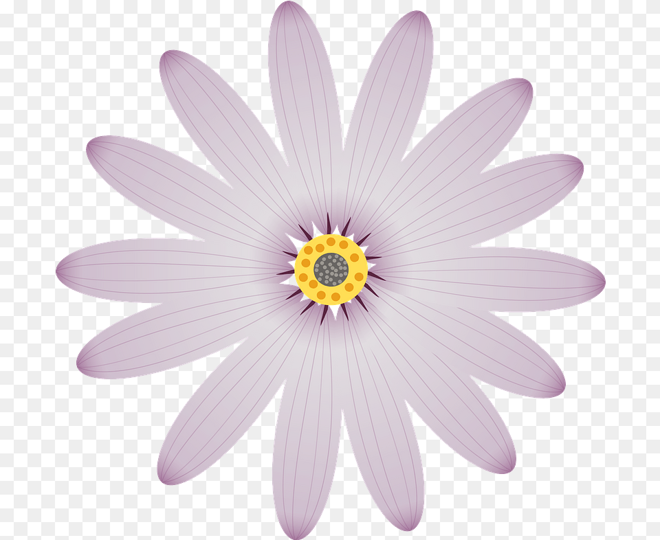Purple Flower Clipart Clip Art, Plant, Anther, Daisy, Petal Png Image