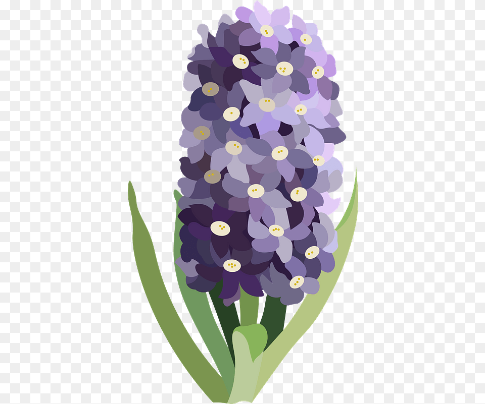Purple Flower Clipart Grape Hyacinth, Plant, Flower Arrangement, Flower Bouquet, Lavender Png