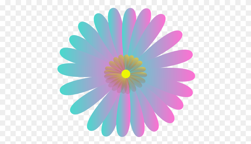 Purple Flower Clipart June Flower, Daisy, Plant, Pattern Png Image