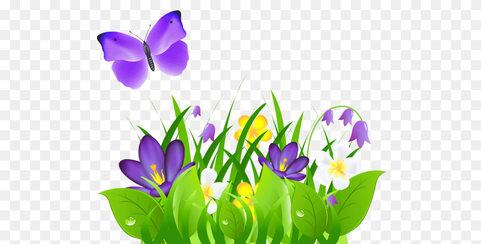Purple Flower Clipart Spring Clip Art, Iris, Petal, Plant, Graphics Free Transparent Png