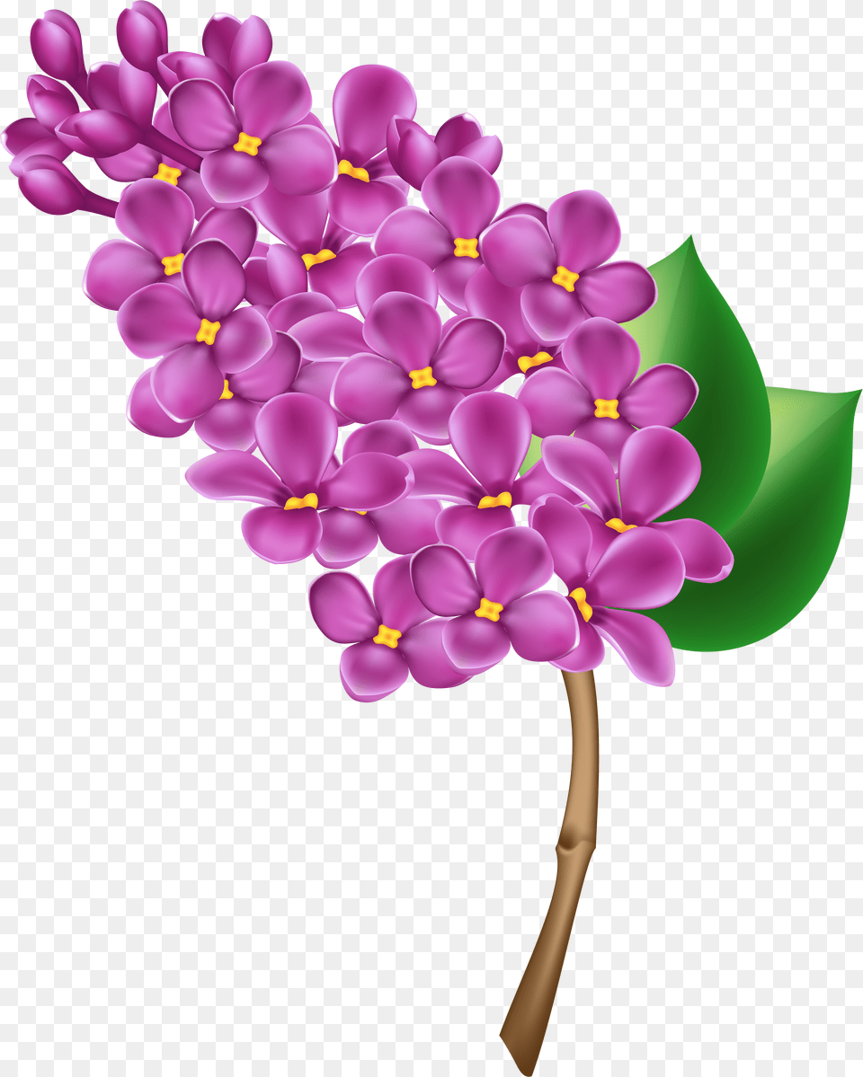 Purple Flower Clipart Top View Lilac Clipart Free Png