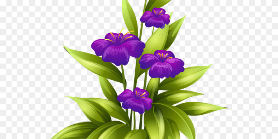Purple Flower Clipart Transparent Flower Border For Birth Day, Iris, Plant, Petal, Geranium Png Image