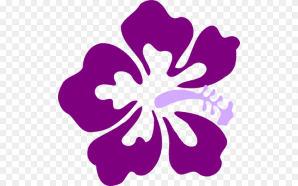 Purple Flower Clipart Tropical, Plant, Hibiscus, Person, Geranium Png