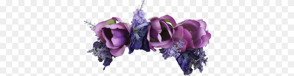Purple Flower Crown, Plant, Flower Arrangement, Flower Bouquet, Pattern Png