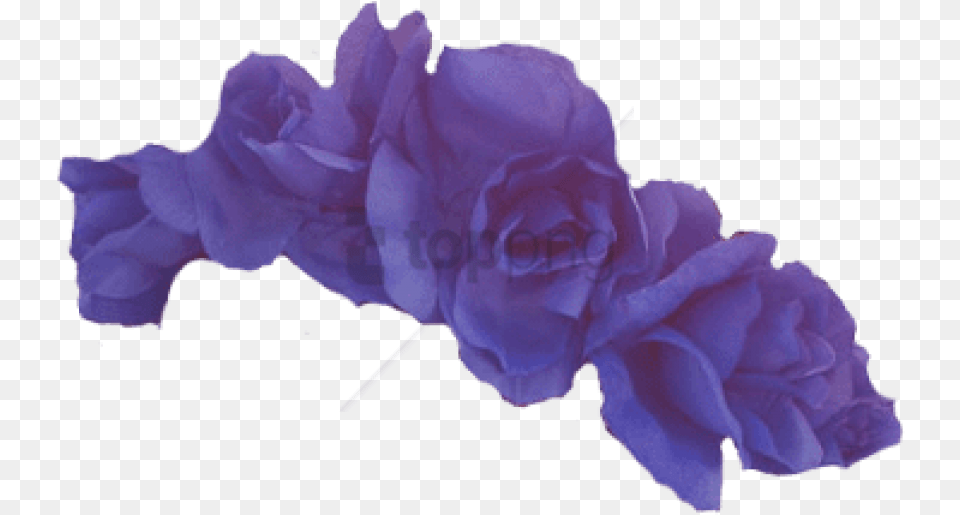 Purple Flower Crown Purple Flower Crown, Petal, Plant, Rose, Carnation Free Png Download