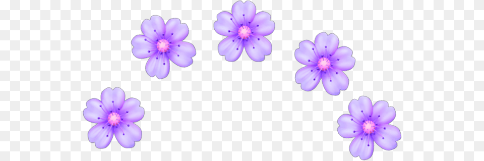 Purple Flower Emoji Floral, Anemone, Anther, Geranium, Plant Png Image