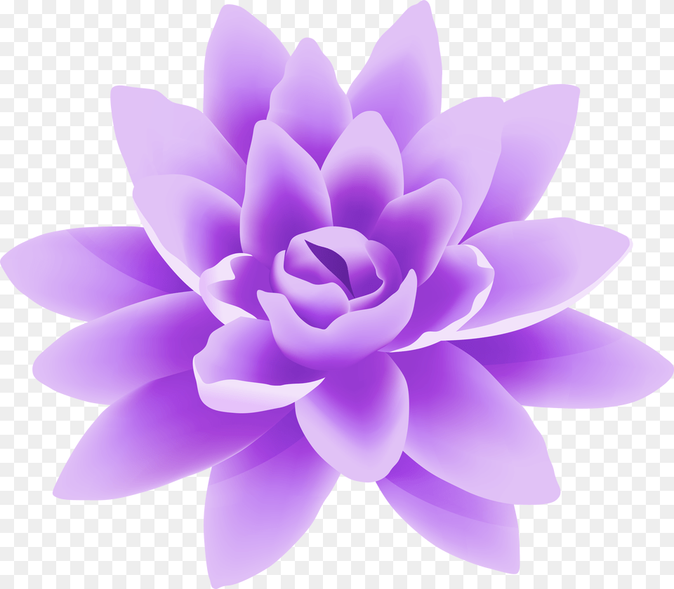 Purple Flower Image Free Transparent Png