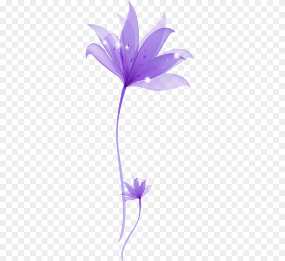 Purple Flower Image Anther, Petal, Plant, Leaf Free Transparent Png