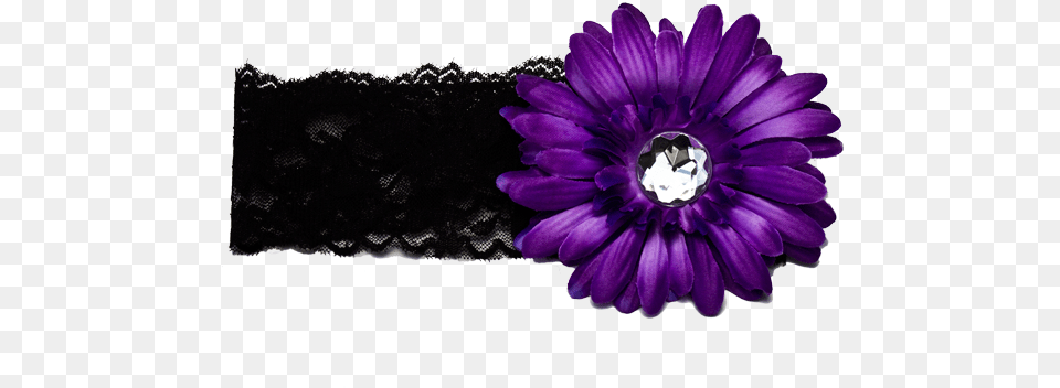 Purple Flower Images Free Download 6234 Free Icons Dark Purple Purple Flower, Dahlia, Daisy, Plant, Anemone Png Image